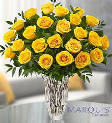 Marquis by Waterford <BR> Premium Yellow Roses Davis Floral Clayton Indiana from Davis Floral